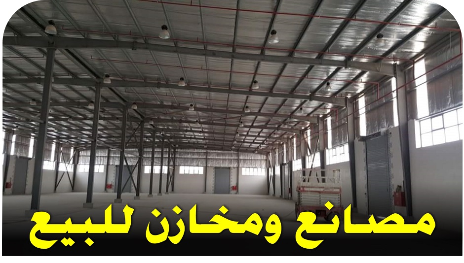 تامر الطنبداوى - Tamer-Eltanbadawy