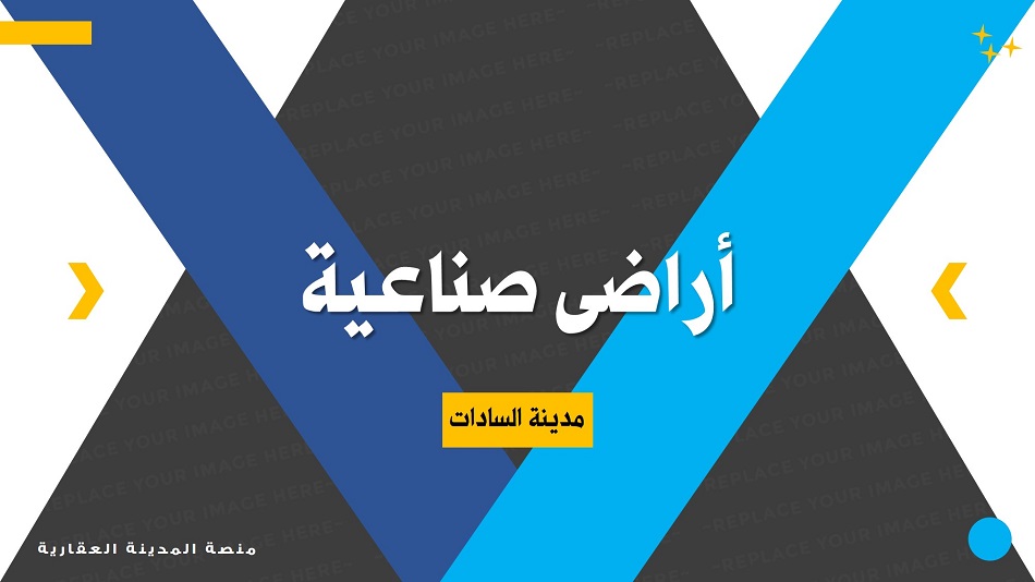 تامر الطنبداوى - Tamer-Eltanbadawy