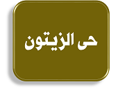 منصة المدينة العقارية