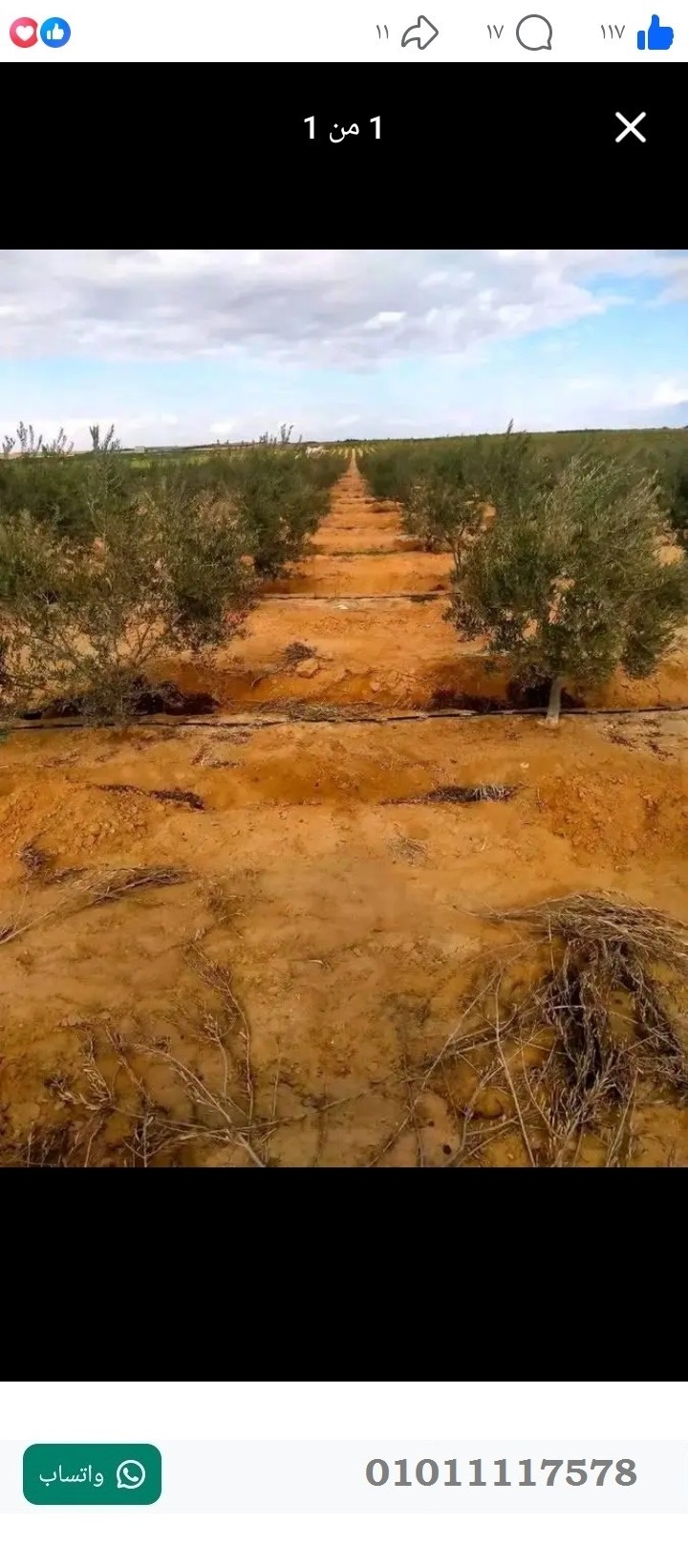 منصة المدينة العقارية