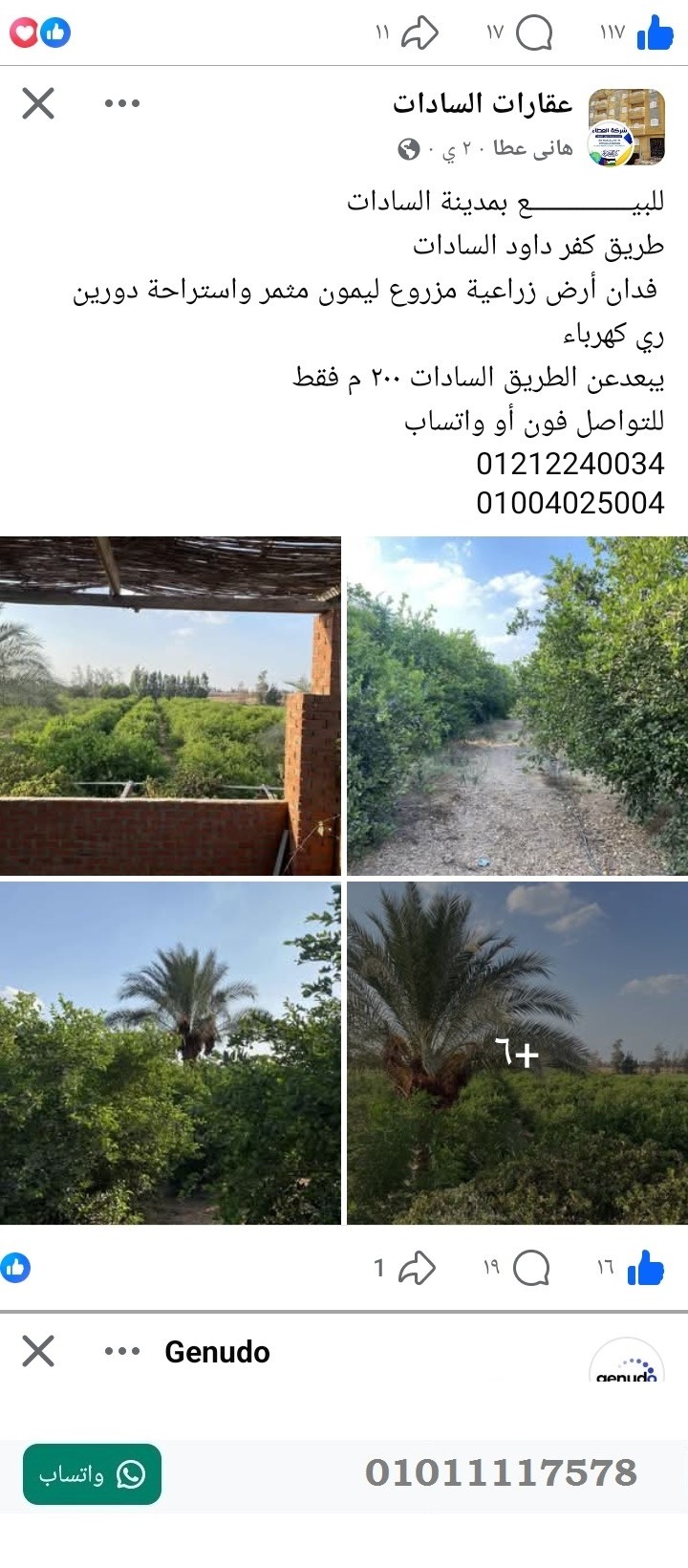 منصة المدينة العقارية